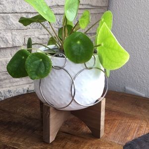 Double hoop earrings